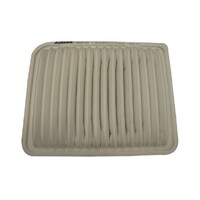 Air Filter ACA120 AcDelco For Ford Territory SX, SY SUV 4.0LTP - BARRA 190