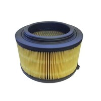 Air Filter ACA249 AcDelco For Ford Everest UA SUV TDCi 4x4 3.2LTD -