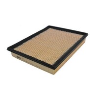 Air Filter ACA17 AcDelco For Ford Falcon AU Ute LPG 4.0LTP