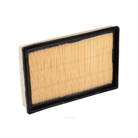 Air Filter A1430 Ryco For Hyundai Accent 1.6LTP G4ED G LC Hatchback