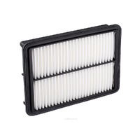 Air Filter A1730 Ryco For Hyundai iload 2.5LTD D4CB TQ Cargo CRDi