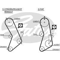 Timing Belt  Gates T018