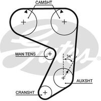 Timing Belt  Gates T019