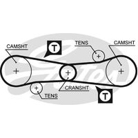 Timing Belt T021