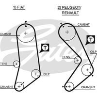 Timing Belt  Gates T069