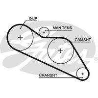 Timing Belt  Gates T075