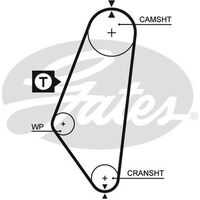 Timing Belt  Gates T081