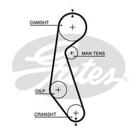 Timing Belt  Gates T085