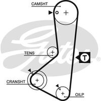 Timing Belt  Gates T093