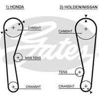 Timing Belt  Gates T100