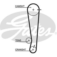 Timing Belt  Gates T1013