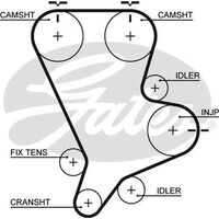 Timing Belt