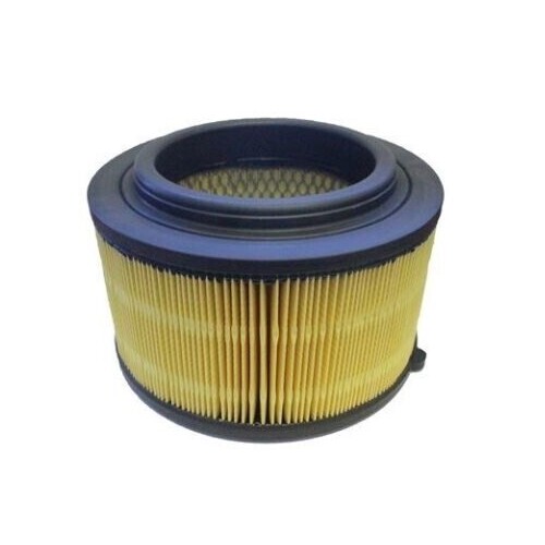 Air Filter ACA249 AcDelco For Ford Everest UA SUV TDCi 4x4 3.2LTD -