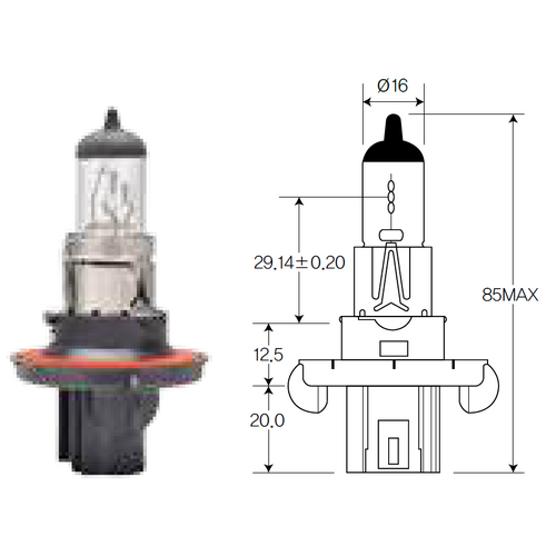 Bulb, headlight Acdelco ACH13 For FORD  F150 2003-2007 Petrol 4.2L