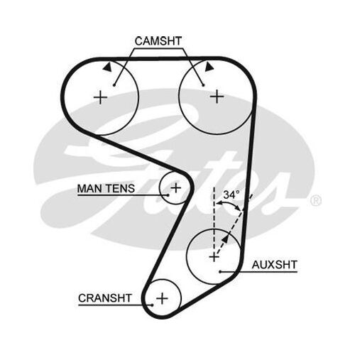 Timing Belt  Gates T019