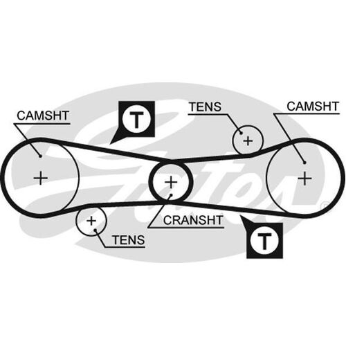 Timing Belt T021