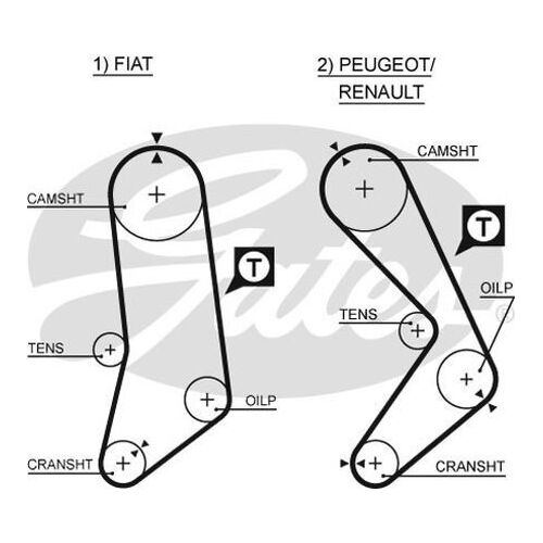 Timing Belt  Gates T069