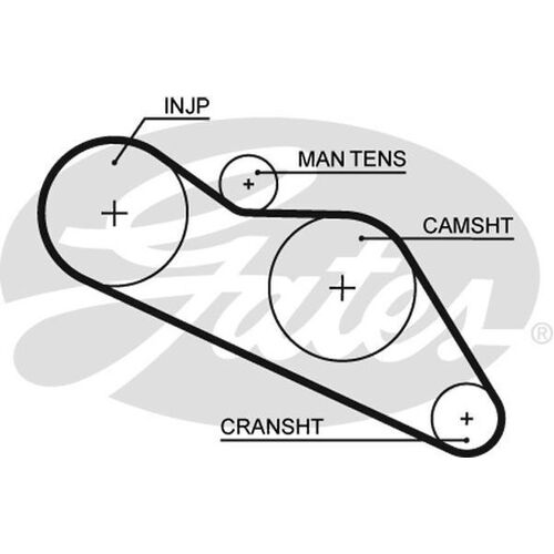 Timing Belt  Gates T075