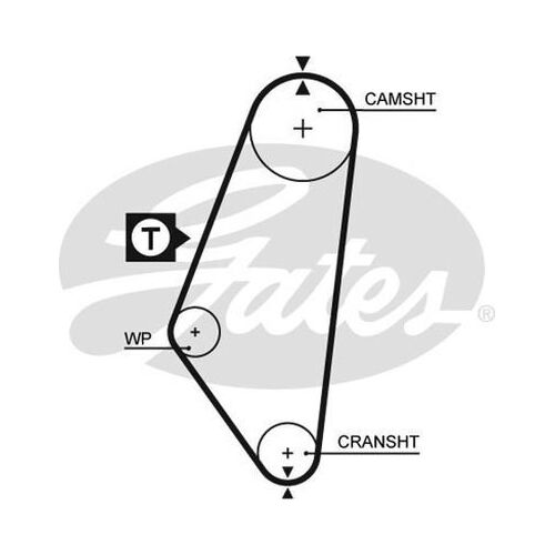 Timing Belt  Gates T081