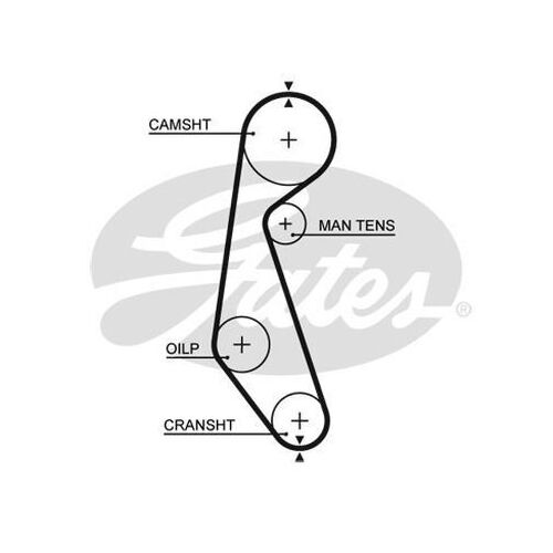 Timing Belt  Gates T085