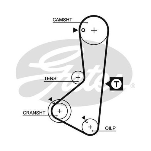 Timing Belt  Gates T093