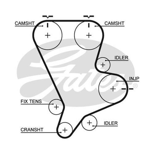 Timing Belt