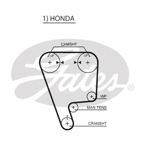 Timing Belt Gates T142