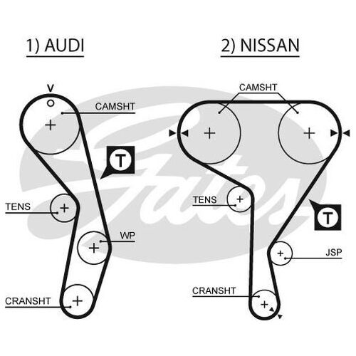 Timing Belt