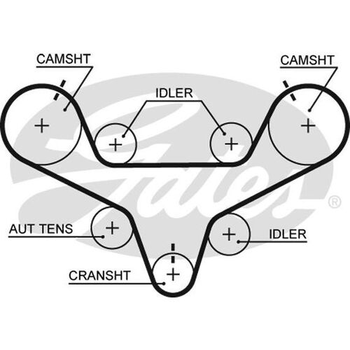 Timing Belt