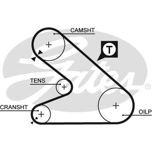 Timing Belt