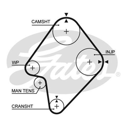 Timing Belt Gates T822